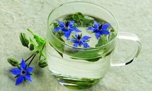 این دمنوش سرشار از ویتامین C است و کلیه‌ها را تقویت می‌کند + روش تهیه
