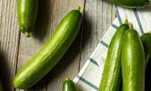 ۵ خوراکی که بهترین ترکیب را با خیار شکل می‌دهند