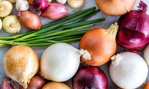 کاربرد انواع پیاز در آشپزی ؛ کدام رنگ پیاز برای چه غذایی مناسب‌تر است؟