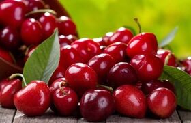 میان‌وعده های ساده با آلبالو ، یاقوت‌ سرخ تابستان