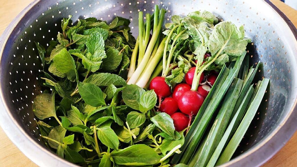 کالری ۱۰۰ گرم سبزی خوردن چقدر است؟ + جدول ارزش غذایی ۱۰۰ گرم سبزی خوردن