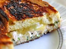 طرز تهیه ساندویچ تن ماهی با پنیر و ترخون