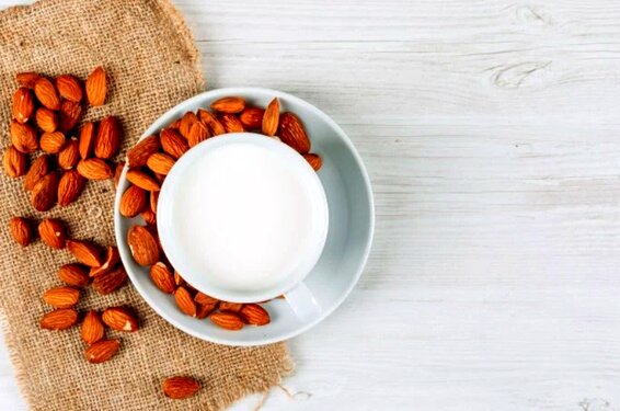 طرز تهیه حریره بادام برای بزرگسال و نوزاد؛ هم با آب هم با شیر