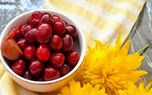 طرز تهیه ترشی گیلاس؛ مجلسی و راحت