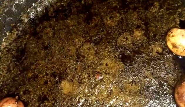 این قرمه سبزی را طبق ذائقه بهرام رادان خواهیم پخت 
