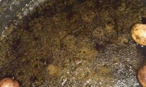 این قرمه سبزی را طبق ذائقه بهرام رادان خواهیم پخت 