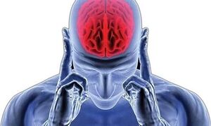 یک رژیم غذایی خاص؛ کلید داشتن مغزی سالم و فعال