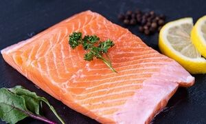 کدامیک امگا ۳ بیشتری دارد؛ ماهی سالمون یا تن؟