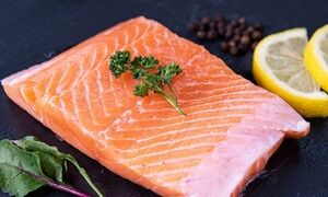 کدامیک امگا ۳ بیشتری دارد؛ ماهی سالمون یا تن؟