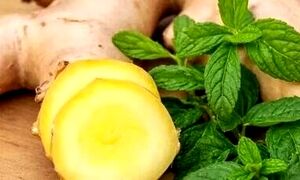 زنجبیل یا نعناع؛ کدام یک برای رفع حالت تهوع بهتر است؟