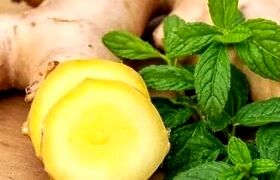 زنجبیل یا نعناع؛ کدام یک برای رفع حالت تهوع بهتر است؟