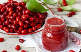 زغال اخته؛ میوه جنگلی کوچک با خواص دارویی فراوان
