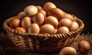 ۴ مدل غذای ساده، سریع و اقتصادی با تخم مرغ