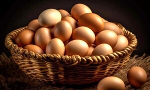 ۴ مدل غذای ساده، سریع و اقتصادی با تخم مرغ