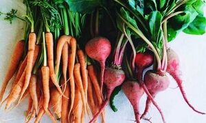 ۱۳ سبزی ریشه‌ای که بدن شما را متحول می‌کنند
