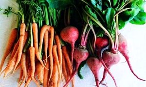 ۱۳ سبزی ریشه‌ای که بدن شما را متحول می‌کنند