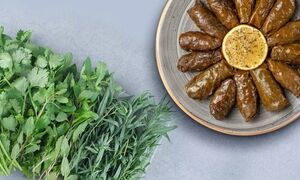 داخل دلمه چه سبزی و چقدر بریزیم؟ | ترکیب و نسبت سبزی دلمه برگ مو