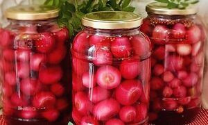 ترشی پیاز ؛ ترفند خوش رنگ شدن این خوشمزه زمستانی