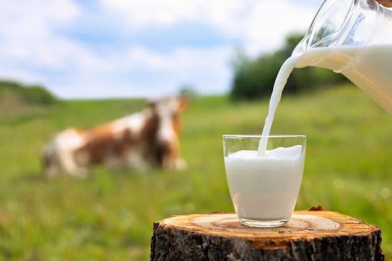هر رده سنی روزانه چقدر باید شیر مصرف کند؟
